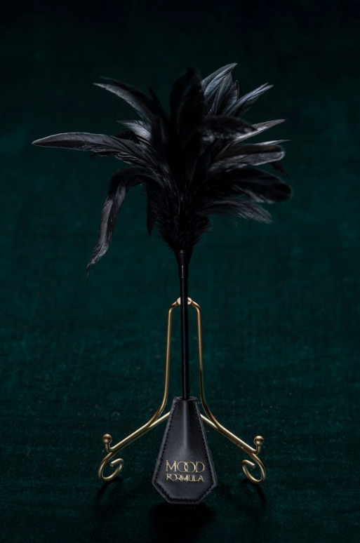 Feather Flirting Pleasure Whip