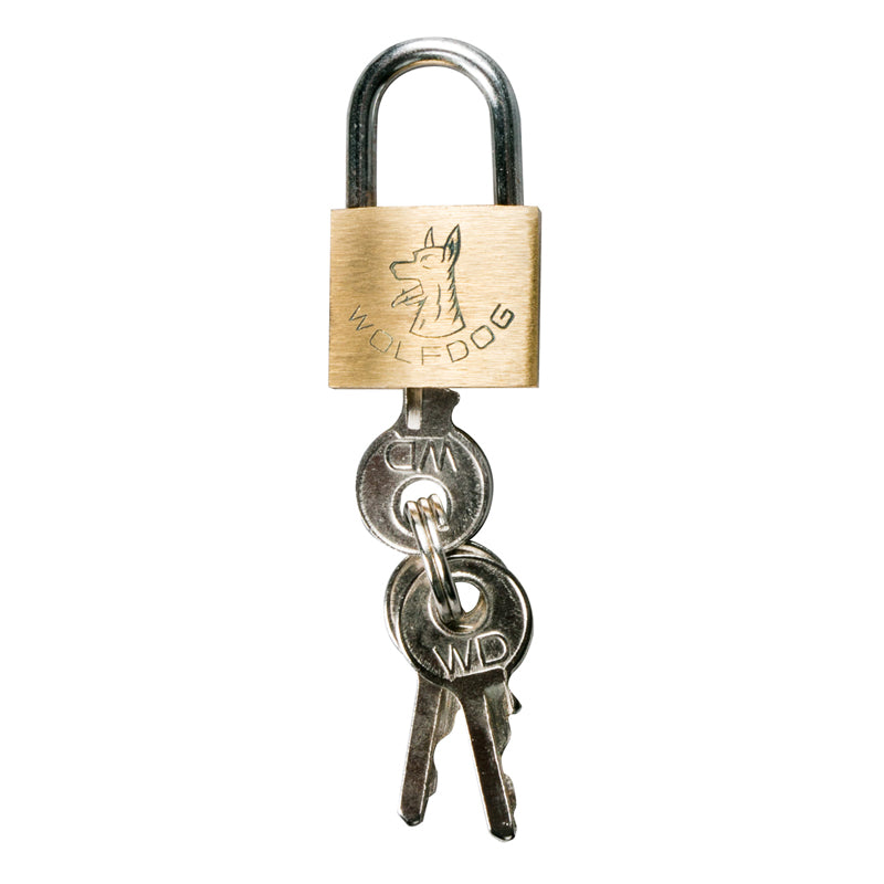 stainless steel chastity lock