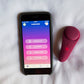 Sexy Secret Panty Vibrator - APP Control 